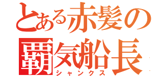 とある赤髪の覇気船長（シャンクス）