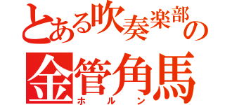 とある吹奏楽部の金管角馬（ホルン）