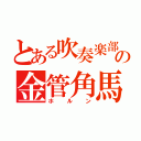 とある吹奏楽部の金管角馬（ホルン）