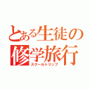 とある生徒の修学旅行（スクールトリップ）