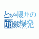 とある櫻井の頭髪爆発（マクドナルド）