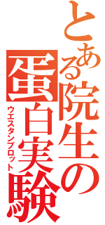 とある院生の蛋白実験（ウエスタンブロット）