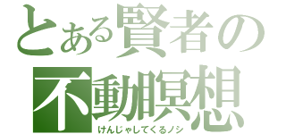 とある賢者の不動瞑想（けんじゃしてくるノシ）