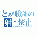 とある臉部の射擊禁止（インデックス）