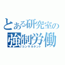 とある研究室の強制労働（コンサルタント）