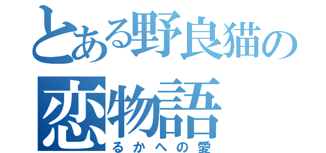 とある野良猫の恋物語（るかへの愛）