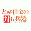 とある住宅の対Ｇ兵器（キャサリン）