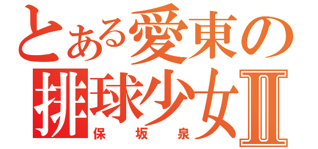 とある愛東の排球少女Ⅱ（保坂泉）