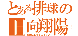 とある排球の日向翔陽（おれにもってこォォい）