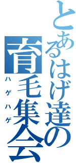 とあるはげ達の育毛集会（ハゲハゲ）