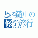 とある鑓中の修学旅行（キョート＆ナラ）