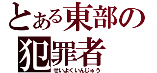 とある東部の犯罪者（せいよくいんじゅう）