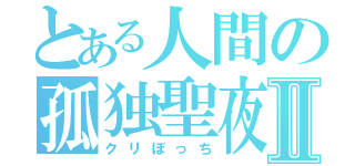 とある人間の孤独聖夜Ⅱ（クリぼっち）