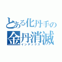 とある化丹手の金丹消滅オジサン（インデックス）