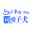 とあるネルフの可愛子犬（碇シンジ）