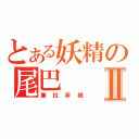 とある妖精の尾巴Ⅱ（塞拉菲姆）