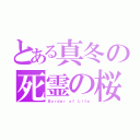 とある真冬の死霊の桜（Ｂｏｒｄｅｒ ｏｆ Ｌｉｆｅ）