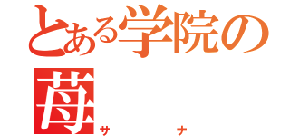 とある学院の苺     姫（サナ）