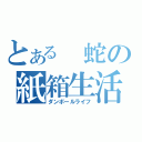 とある　蛇の紙箱生活（ダンボールライフ）