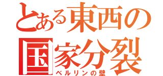 とある東西の国家分裂（ベルリンの壁）