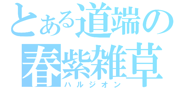 とある道端の春紫雑草（ハルジオン）