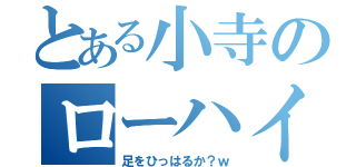 とある小寺のローハイド（足をひっはるか？ｗ）