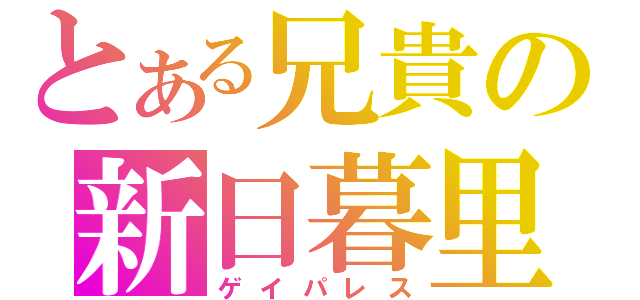 とある兄貴の新日暮里（ゲイパレス）