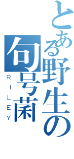 とある野生の句号菌（ＲＩＬＥＹ）