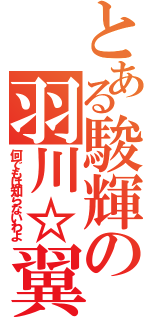 とある駿輝の羽川☆翼（何でもは知らないわよ）