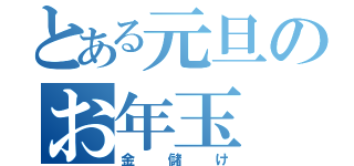 とある元旦のお年玉（金儲け）