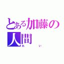 とある加藤の人間（れい）