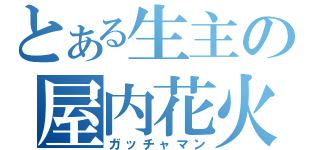 とある生主の屋内花火（ガッチャマン）