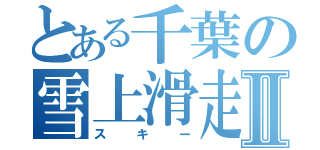 とある千葉の雪上滑走者Ⅱ（スキー）