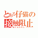 とある仔猫の接触阻止（おくもふそし）