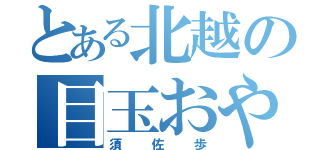 とある北越の目玉おやじ（須佐歩）