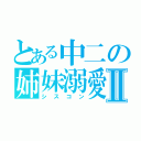 とある中二の姉妹溺愛Ⅱ（シスコン）