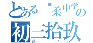 とある宽柔中学の初三拾玖（升级）