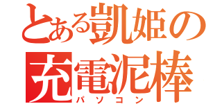 とある凱姫の充電泥棒（パソコン）