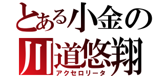 とある小金の川道悠翔（アクセロリータ）