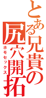 とある兄貴の尻穴開拓（ホモセックス）