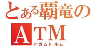 とある覇竜のＡＴＭ（アカムトルム）