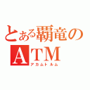 とある覇竜のＡＴＭ（アカムトルム）