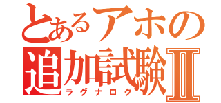 とあるアホの追加試験Ⅱ（ラグナロク）