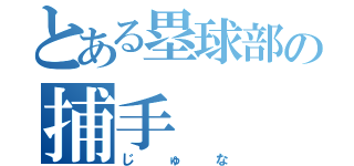 とある塁球部の捕手（じゅな）