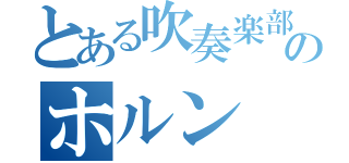 とある吹奏楽部のホルン（）