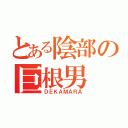 とある陰部の巨根男（ＤＥＫＡＭＡＲＡ）