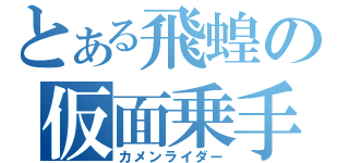 とある飛蝗の仮面乗手（カメンライダー）