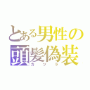 とある男性の頭髪偽装（カ　ツ　ラ）