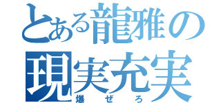 とある龍雅の現実充実（爆ぜろ）