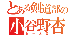 とある剣道部の小谷野杏渚（おーあひ）